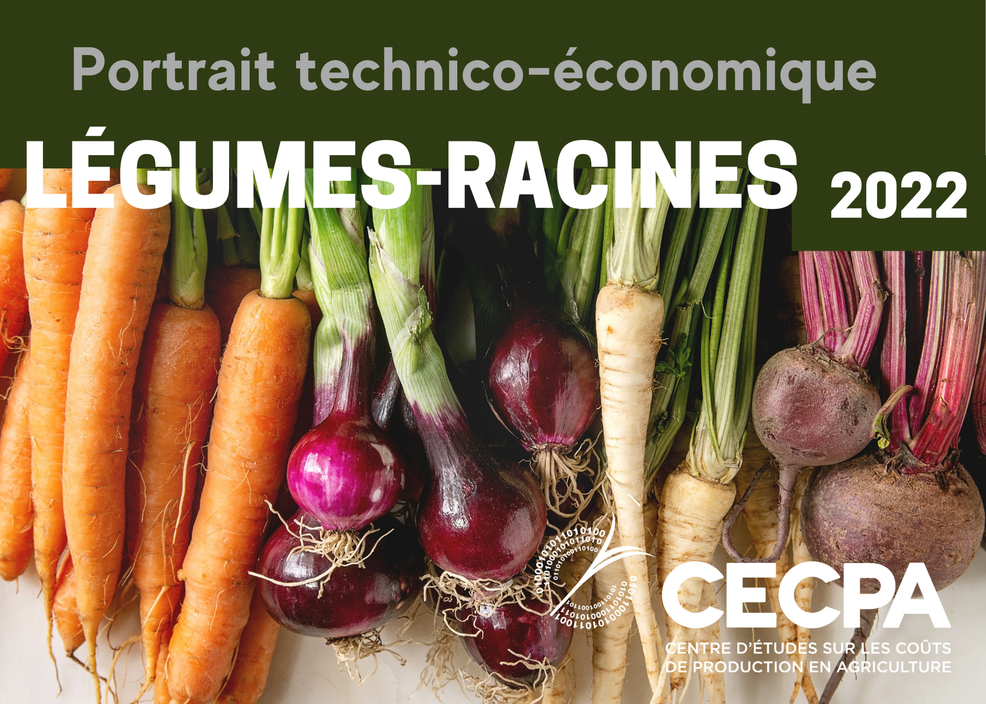 étude : Étude technico-économique - Production spécialisée de légumes-racines au Québec 2022